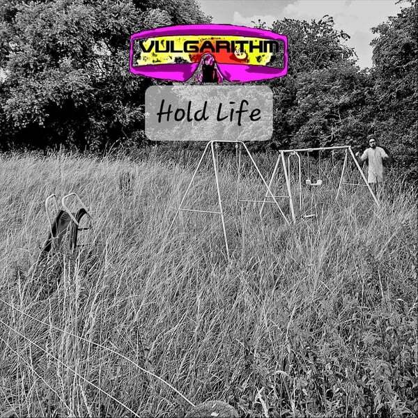 Cover art for Hold Life