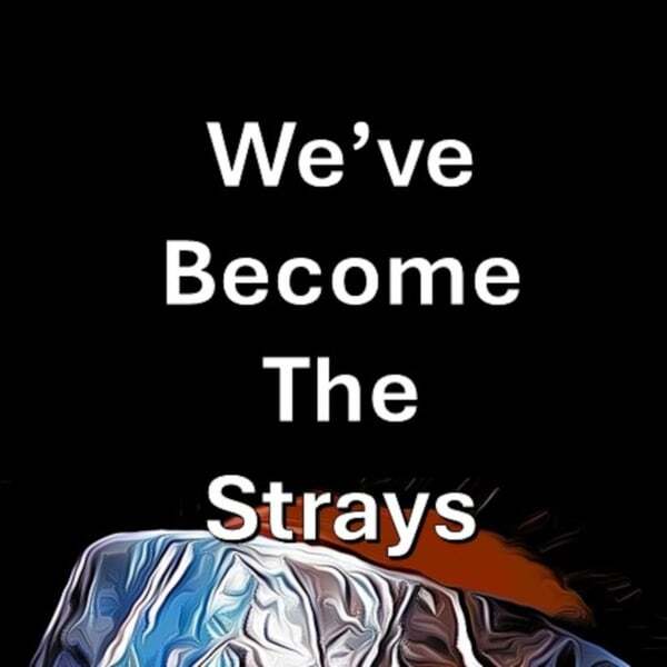 Cover art for We've Become the Strays